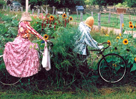 old cyclists