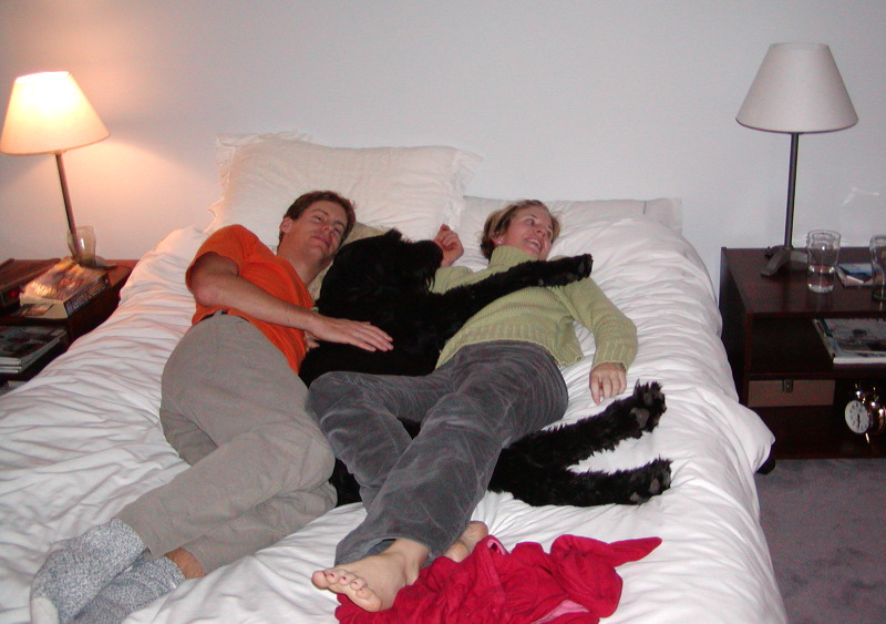 which of these 3 doesn't belong?