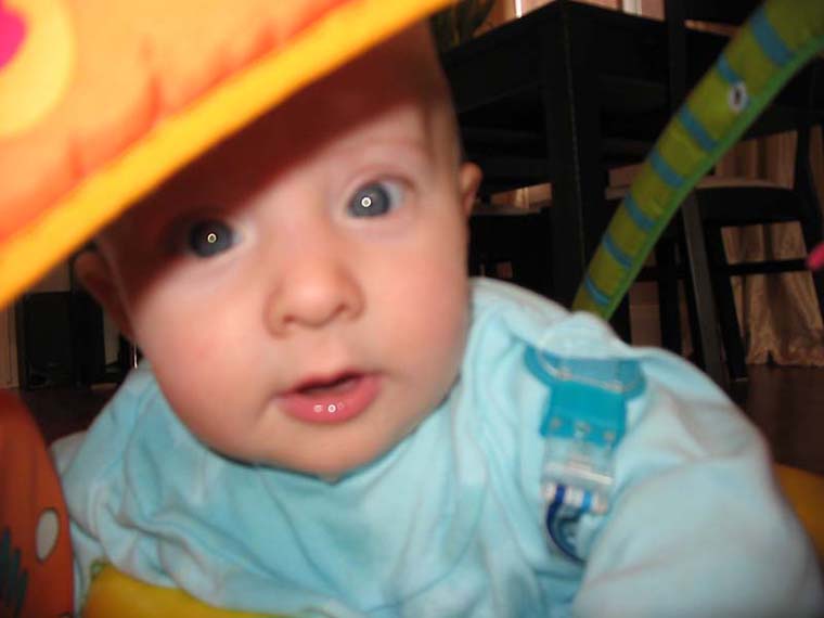 img017-Feb 2008
